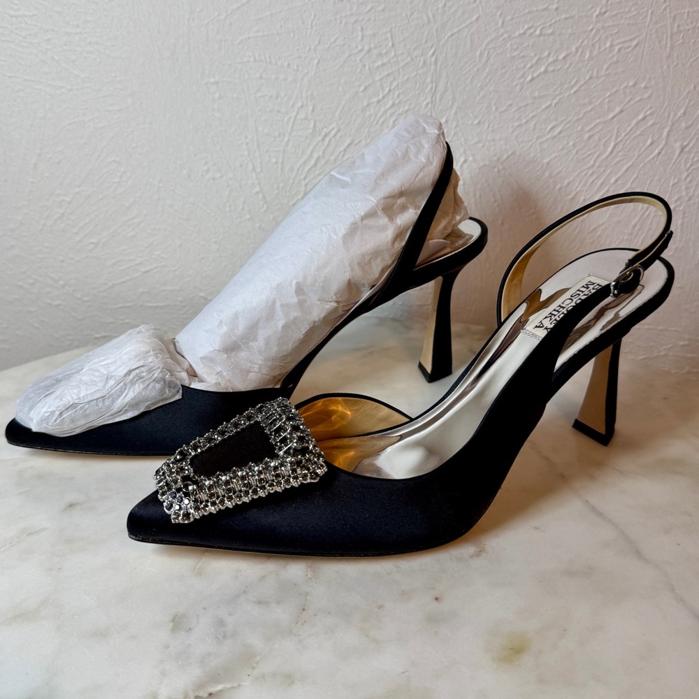 BNWT Badgley Mischka Enida Pumps - Size 10